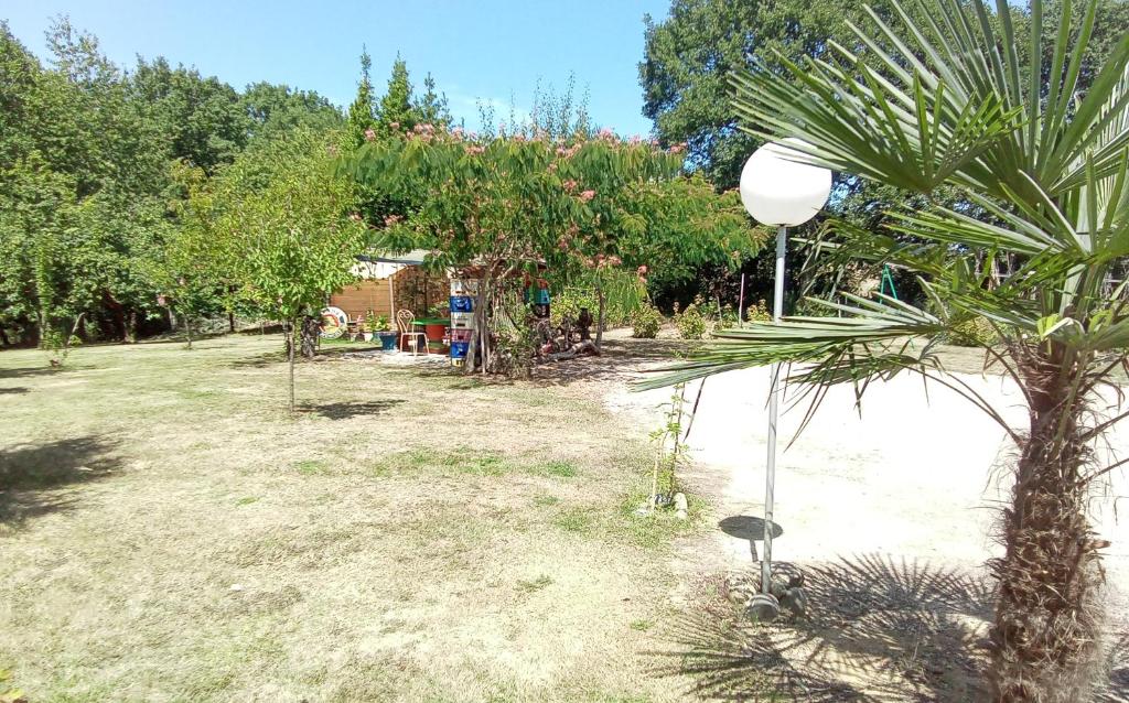 Imagen 5